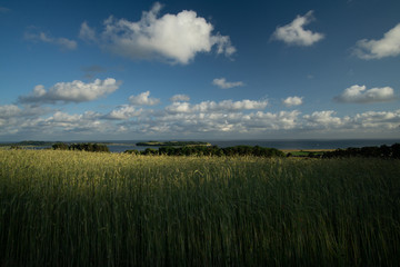 Obraz premium landscape and wildlife