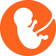 Fetus Icon. Icon Embryo. Baby icon with umbilical cord