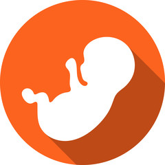 Fetus Icon. Icon Embryo. Baby icon with a shadow