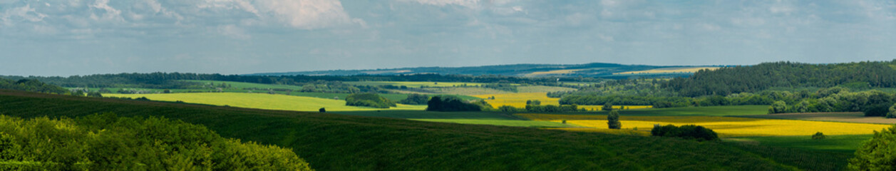 Fototapeta na wymiar Panoramic view of ukrainian fields and forests. Cherkasy region, Ukraine
