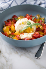 Mozzarella Kugel mit roten und gelben Tomaten, Basilikum und Olivenöl in Schale auf Marmor Hintergrund