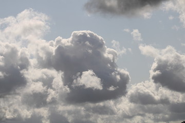 white clouds in the ligth blue sky