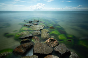 landscape and wildlife