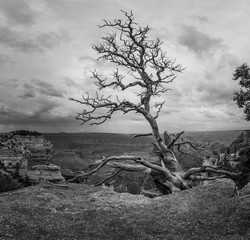 USA Grand Canyon / Amerika