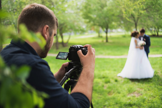 The videographer shootes the marrieds in the garden in the summer.
