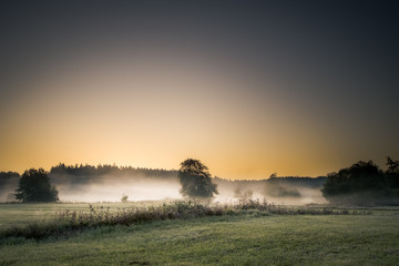 Mist in the morning on a meadow