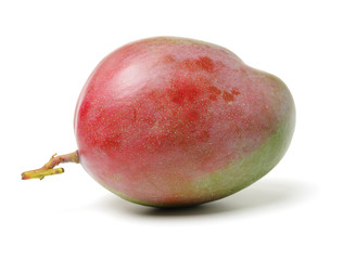 mangos on white background 
