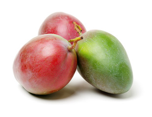 mangos on white background 