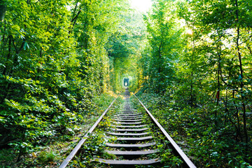 tunnel of love