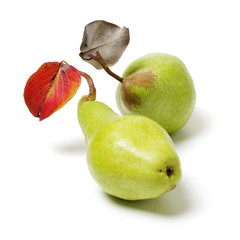 Tasty pear isolated on white background