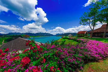 Beautiful blue sky with flower and clear water , Ratchaprapa Dam or Guilin of Thailand the famous of Nation Park in Suratthani, Thailand