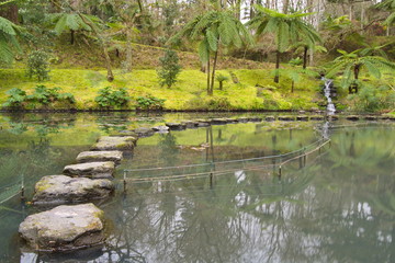 Fototapeta premium Terra Nostra