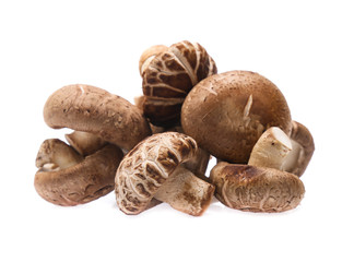 Shiitake mushroom on the White background