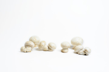 group of white champignons stripe on white background