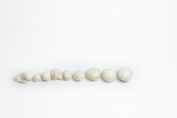 group of white champignons isolated on white background