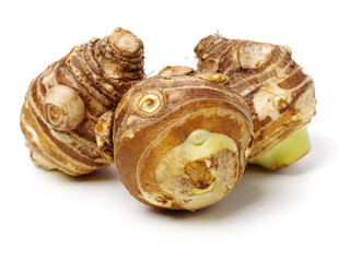 Taro on a white background