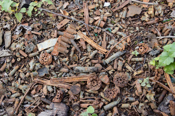 massiveli burned gun ammunition in the forest