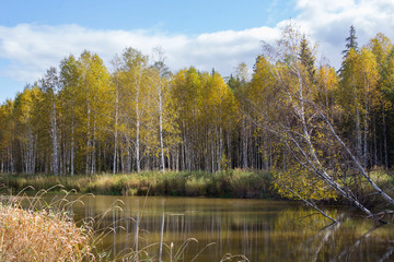 Autumn lake in cloudy weather