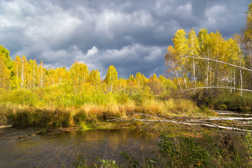 Autumn lake in cloudy weather
