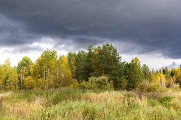 Autumn lake in cloudy weather