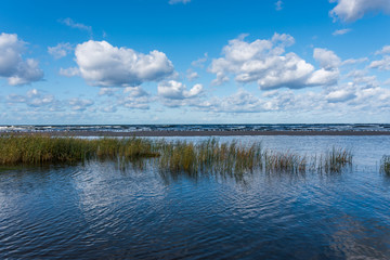 Autumn at the Baltic Sea Coast in Latvia