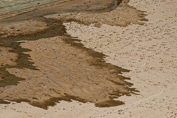 Spuren im Sand