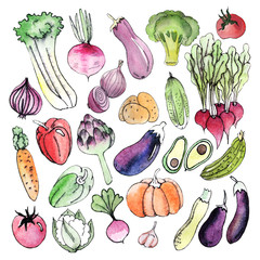 watercolor vegetables  on a white background_11 print pattern