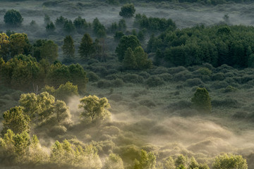 Foggy sunrise over the forest, Italy landscape