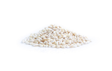 Barley grain isolated on white background