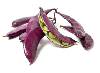 Hyacinth bean on white background 