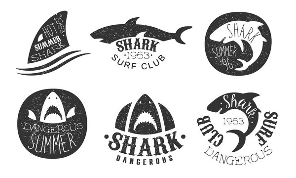 Set of logos for a surf club. Vector illustration on a white background.