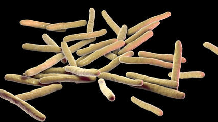 Mycobacterium leprae bacteria, the causative agent of leprosy, 3D illustration