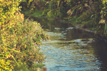 Ручеёк, ручей, парк, скверик. 