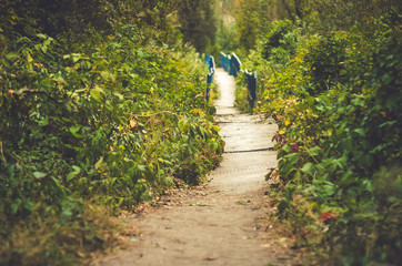 Мостик, парк, скверик. 