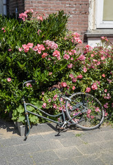 Fototapeta na wymiar broken bike on a dutch street