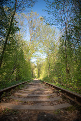 Single-track railway line in forest