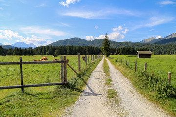 Fototapeta na wymiar Mountain meadows and pastures in the Austrian Alps
