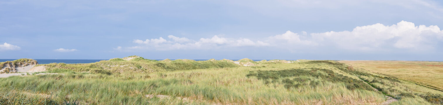 Grassy dunes on the island of Terschelling