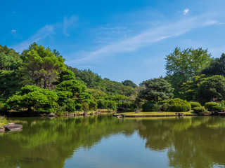 Fototapeta na wymiar 秋晴れの小石川植物園の庭園　日本　９月下旬
