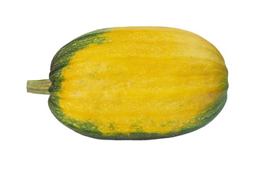 yellow-green pumpkin on an isolated background, vector