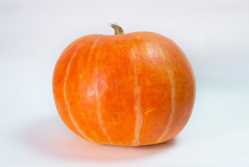 big orange pumpkin on an isolated background