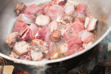 Beef pieces on bones stew
