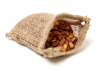 Pine nuts on white background