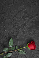 Red roses are placed on a black textured background. A sign of condolence, sympathy loss. Space for your text.