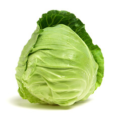 Fototapeta premium cabbage on white background