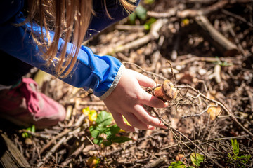 Family trip in the forest. Girl's hand holding a small mushroom. Autumn woods.