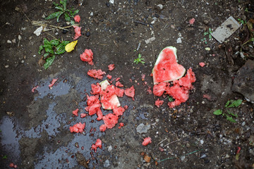 Watermelon fell on the ground, black background.