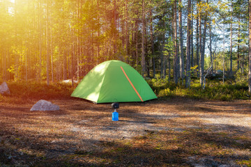 A green tent in the woods in the background a beautiful forest. Camping and tent under the pine forest. Beautiful soft sunlight.