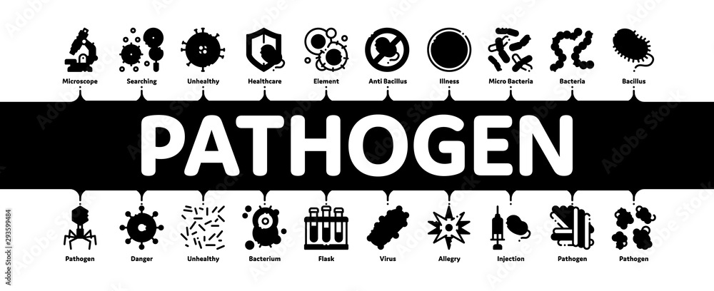 Wall mural Pathogen Minimal Infographic Web Banner Vector. Pathogen Bacteria Microorganism, Microbes And Germs Linear Pictograms. Analysis In Flask, Microscope And Injection Contour Illustrations