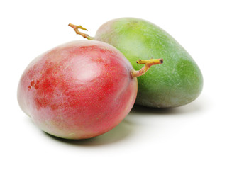 mangos on white background 